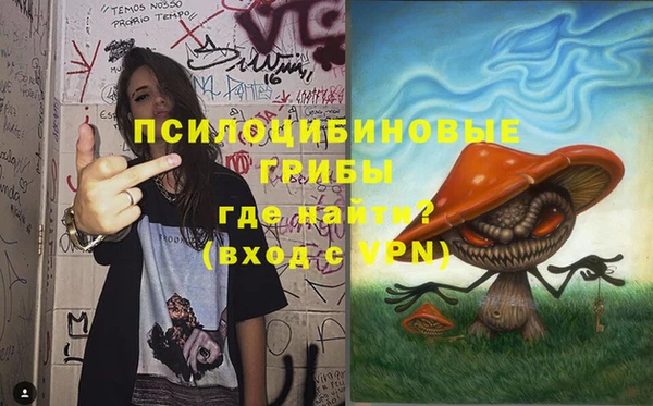 прущие грибы Баксан